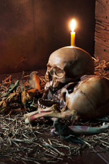 Still life style with skull and pile of bone, and candle, dark c