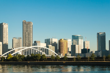 Fototapeta na wymiar View of tokyo cityscape with blue sky