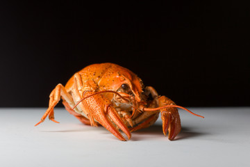 Delicious roasted red cancer on the table.