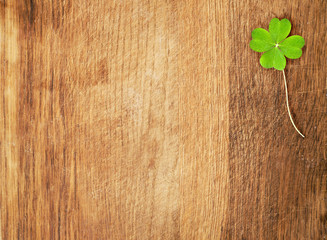 clover on wood desk