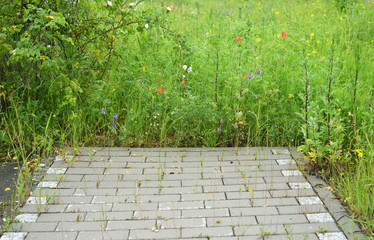Strasse endet in einer Wiese