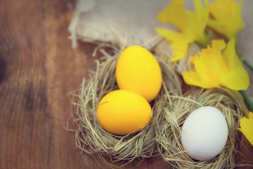Easter eggs in nest on wooden background 