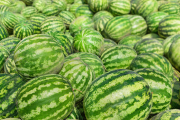 Sweet green watermelons