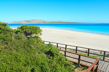 La Pelosa beach on a clear day