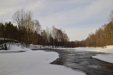на берегу реки