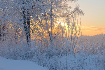 Frosty winter day