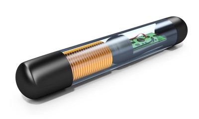 3d RFID chip implant, animal id