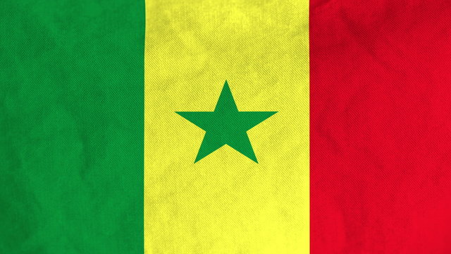 Senegalese flag waving in the wind (full frame footage in 4K UHD resolution).