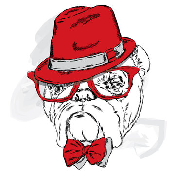 Funny bulldog vector. Bulldog wearing a hat with glasses and tie.