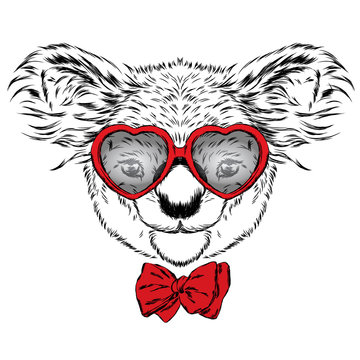 Cute koala. St. Valentine's Day. Love. Hearts. Koala vector. Greeting card with bear. Australia. America, USA. Koala wearing glasses.