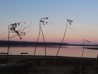 Fototapeta premium Tramonto