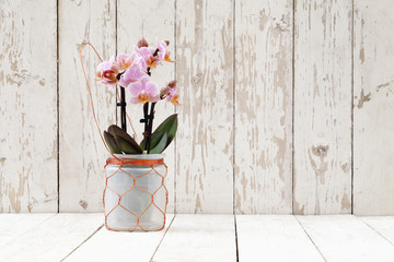 springtime, iris crocus and orchid flowers in basket on wooden white