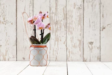 Papier Peint photo Crocus springtime, iris crocus and orchid flowers in basket on wooden white