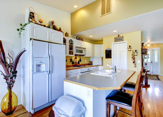 Fototapeta na wymiar Typical American Kitchen interior with white appliances and isla