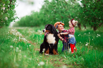Naklejka na ściany i meble baby girl with dog bern in spring garden
