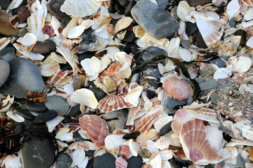 Clam beach at Peel, Isle of Man