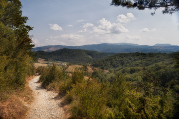 gravel walking path of the Camino de Santiago de Compostela, Spain in the hills of Basque country