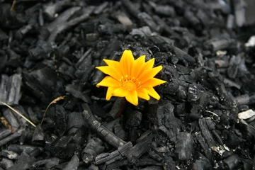The beginning of a new life © Alexander Briel