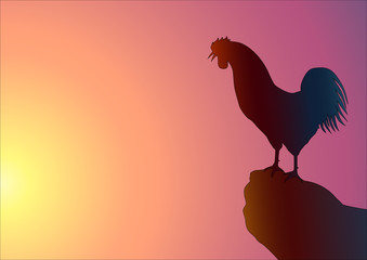 Sabahın seher vakti ve horoz © Aslan Topcu