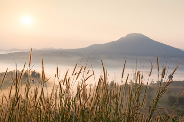 grass and mountains under mist in the morning