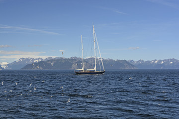 Obraz premium Luxury Yacht Heading out to Sea