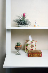 Decorate with some little cactus.