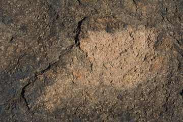 Roca con irregularidades de color oscuro.