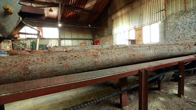 View of log moving along conveyor belt to saw