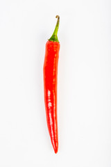 chilli on white background
