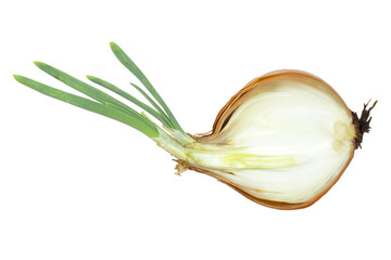 Onions, cut in half