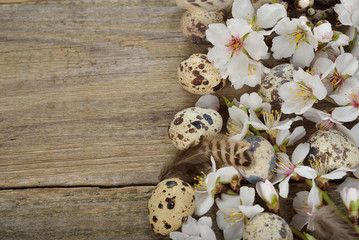 Flowering branches and eggs