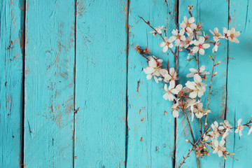 image of spring white cherry blossoms tree on blue wooden table
