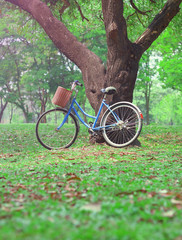 Fototapeta na wymiar Vintage bicycle waiting near tree in the park
