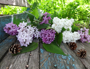 A bouquet of colorful lilacs on an old wooden bench in the garden