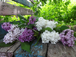 A bouquet of colorful lilacs on an old wooden bench in the garden