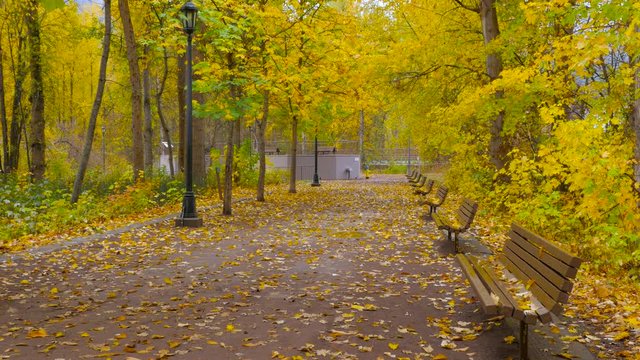 Alley with benches and lamps among the trees in autumn park