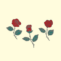 rose vector