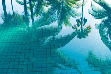 Crédence de cuisine en verre imprimé Palmier réflexion de la piscine