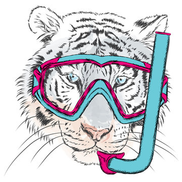 Tiger vector. Tiger in a mask for diving. Vacation and sea. Swimming. Sport.