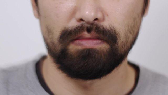 髭の動画
