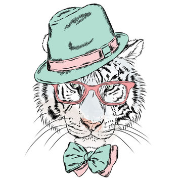 Vector tiger wearing glasses and a hat. Cute Tiger clothing. Hipster. Postcard with a predator.