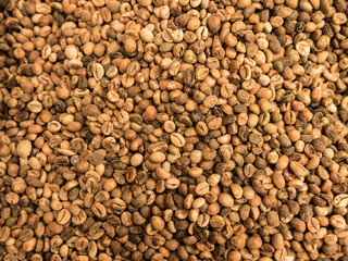 brown coffee beans dried prepare to roast as picture backdrop or