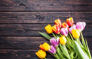 tulip on wood background