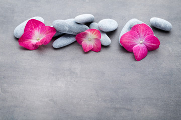 Obraz na płótnie Canvas Spa stones and flowers, on grey background.
