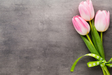 Tulip on the grey  background.