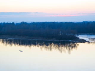 refllection in the water