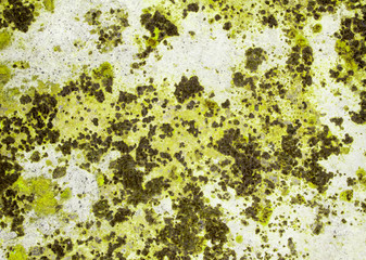 Grunge texture background