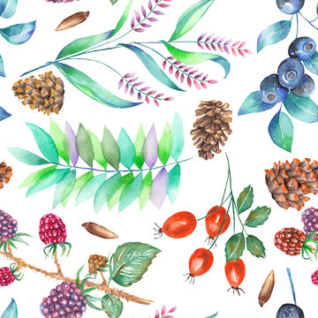 A seamless pattern with a floral ornament of the watercolor forest elements (berries, cones, leaves and branches) on a white background