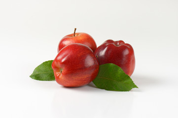 glossy red apples