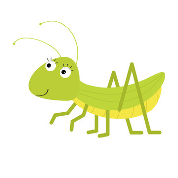 Grasshopper. Cute cartoon character. White background. Isolated.  Baby insect collection. Flat design.